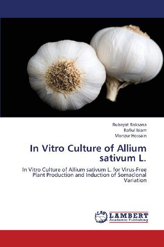 Cover for Monzur Hossain · In Vitro Culture of Allium Sativum L.: in Vitro Culture of Allium Sativum L. for Virus-free Plant Production and Induction of Somaclonal Variation (Paperback Book) (2013)