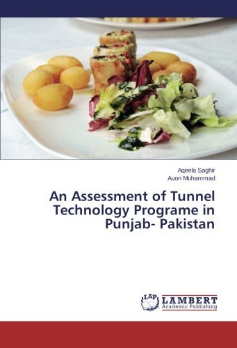 Cover for Auon Muhammad · An Assessment of Tunnel Technology Programe in Punjab- Pakistan (Pocketbok) (2014)