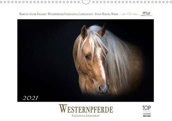 Cover for Wrede · Westernpferde - Faszination und L (Book)