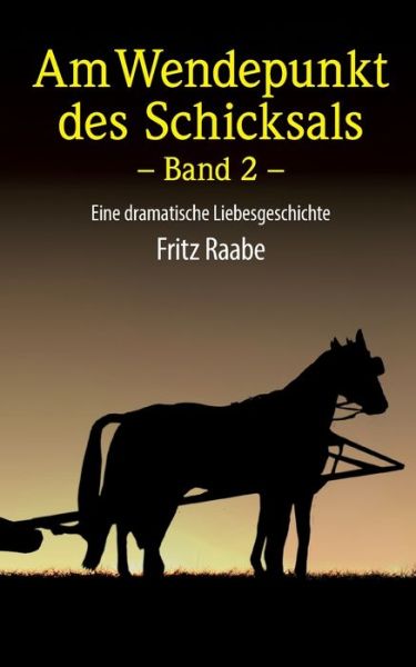 Cover for Fritz Hermann Raabe · Wendepunkt des Schicksals (Paperback Book) (2021)