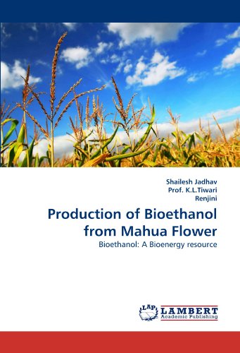 Cover for Renjini · Production of Bioethanol from Mahua Flower: Bioethanol: a Bioenergy Resource (Paperback Book) (2011)