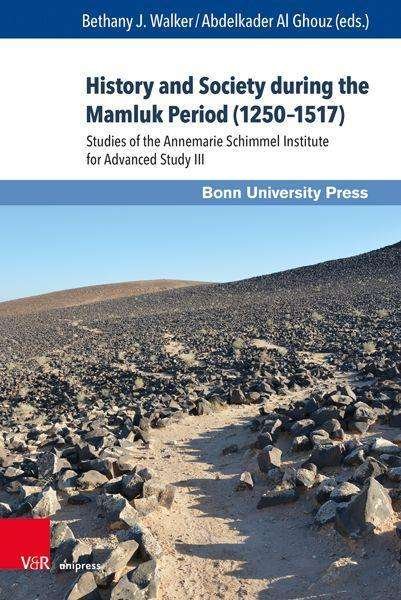 Cover for History and Society during the Mamluk Period (1250–1517): Studies of the Annemarie Schimmel Institute for Advanced Study III - Mamluk Studies (Hardcover bog) [1. edition] (2021)
