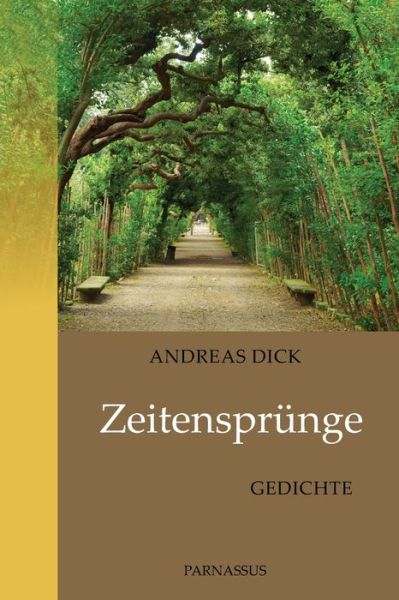 Cover for Andreas Dick · Zeitensprunge (Paperback Book) (2020)