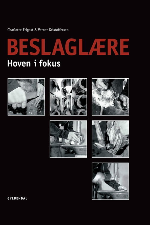 Verner Kristoffersen; Charlotte Frigast · Beslaglære (Inbunden Bok) [1:a utgåva] [Indbundet] (2010)