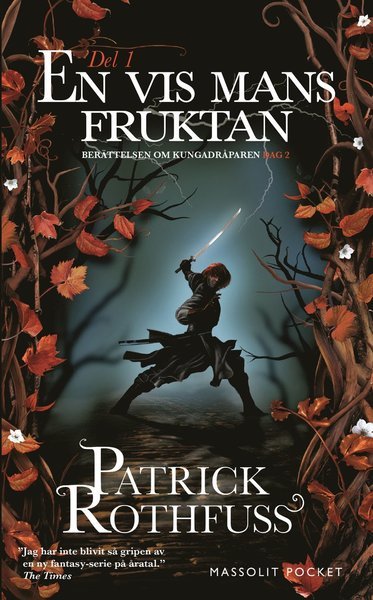 Cover for Patrick Rothfuss · En vis mans fruktan. Del 1 (Paperback Book) (2016)