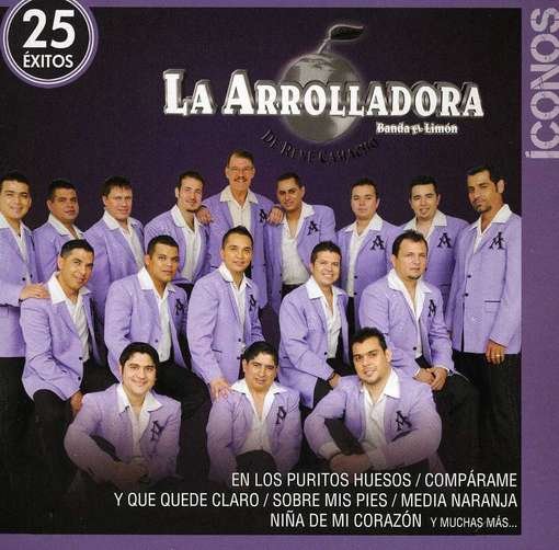 Cover for Arrolladora Banda El Limon De Rene Camacho · Iconos / 25 Exitos (CD) (2012)