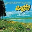 Cover for Jackie Wilson · Beautiful Day (CD) [Japan Import edition] (2022)