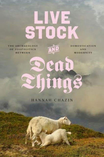 Cover for Hannah Chazin · Live Stock and Dead Things: The Archaeology of Zoopolitics between Domestication and Modernity - Animal Lives (Paperback Book) (2024)