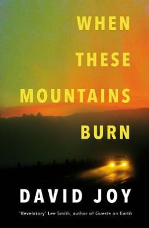 Cover for David Joy · When These Mountains Burn (Paperback Book) (2021)