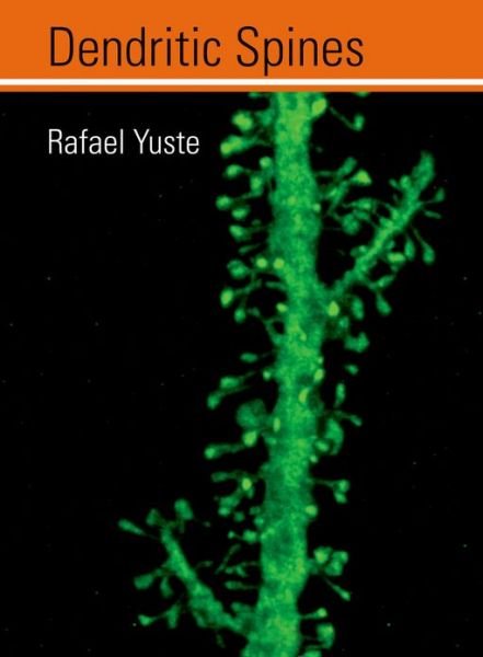 Dendritic Spines - Dendritic Spines - Yuste, Rafael (Columbia University) - Bücher - MIT Press Ltd - 9780262013505 - 24. September 2010