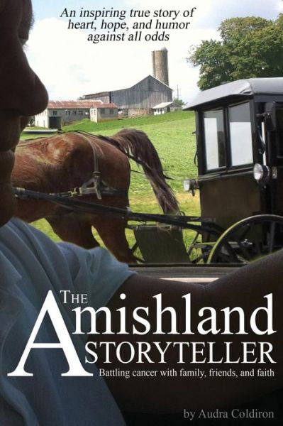 Cover for Audra Coldiron · The Amishland Storyteller (Paperback Book) (2016)