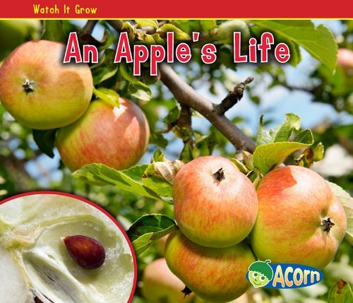 Cover for Nancy Dickmann · An Apple's Life (Watch It Grow) (Paperback Book) (2010)