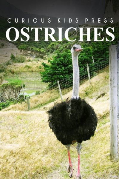 Cover for Curious Kids Press · Ostrich - Curious Kids Press (Paperback Book) (2014)