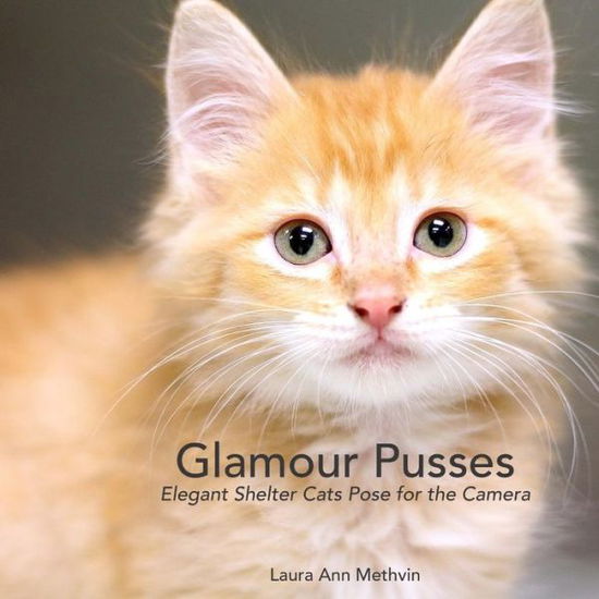 Cover for Laura Ann Methvin · Glamour Pusses (Paperback Book) (2015)