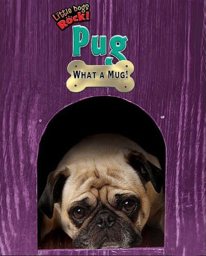 Cover for Lori Haskins Houran · Pug: What a Mug! (Little Dogs Rock!) (Hardcover Book) (2009)