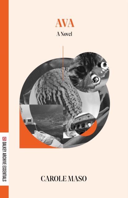 Cover for Carole Maso · AVA - Dalkey Archive Essentials (Paperback Book) (2025)