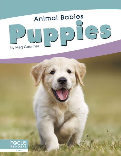 Cover for Meg Gaertner · Puppies - Animal Babies (Hardcover Book) (2019)