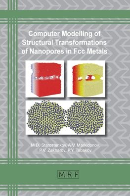 Cover for Starostenkov · Computer Modelling of Structural Transformations of Nanopores in Fcc Metals (Paperback Book) (2019)