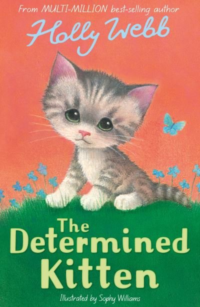 Cover for Holly Webb · The Determined Kitten - Holly Webb Animal Stories (Paperback Book) (2024)