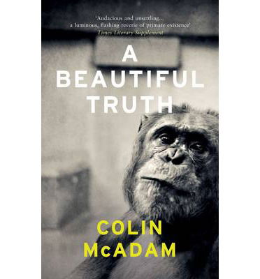 Cover for Colin McAdam · A Beautiful Truth (Paperback Book) (2014)