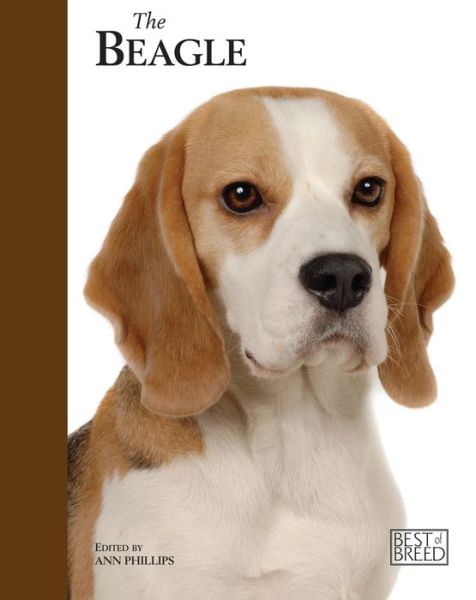 Cover for Ann Phillips · Beagle - Best of Breed (Hardcover Book) (2011)