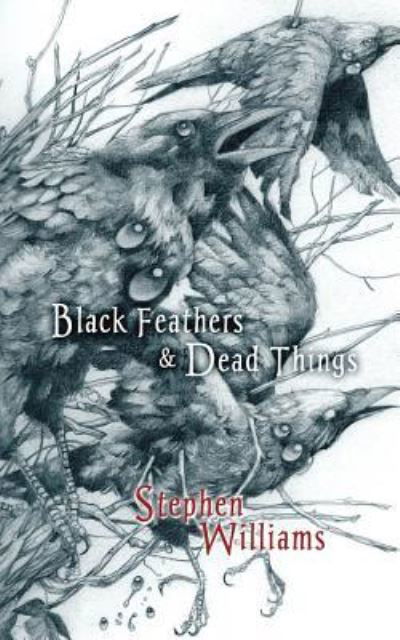 Cover for Professor Stephen Williams · Black Feathers and Dead Things (Paperback Book) (2017)
