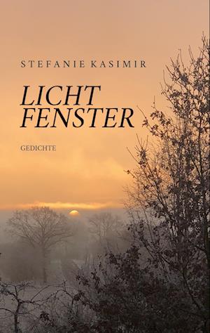 Cover for Stefanie Kasimir · Lichtfenster (Book) (2025)
