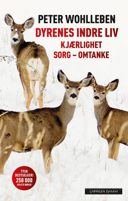 Cover for Peter Wohlleben · Dyrenes indre liv : kjærlighet, sorg, omtanek (Inbunden Bok) (2017)