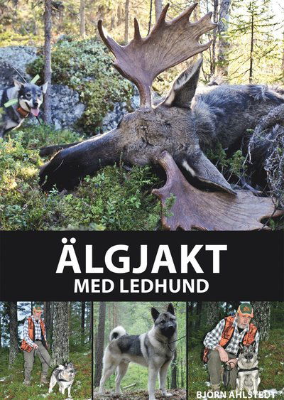 Älgjakt med ledhund : från valpval till ledhundschampion - Ahlstedt Björn - Books - Bokförlaget Settern - 9789175866505 - May 20, 2014