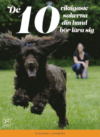 Cover for Susanne Lindberg · De 10 viktigaste sakerna din hund bör lära sig (Bound Book) (2016)