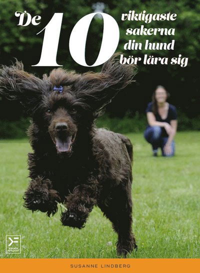 Cover for Susanne Lindberg · De 10 viktigaste sakerna din hund bör lära sig (Gebundesens Buch) (2016)