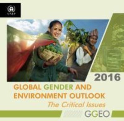 Cover for United Nations Environment Programme · Global gender and environment outlook 2016: the critical issues (Paperback Book) (2017)