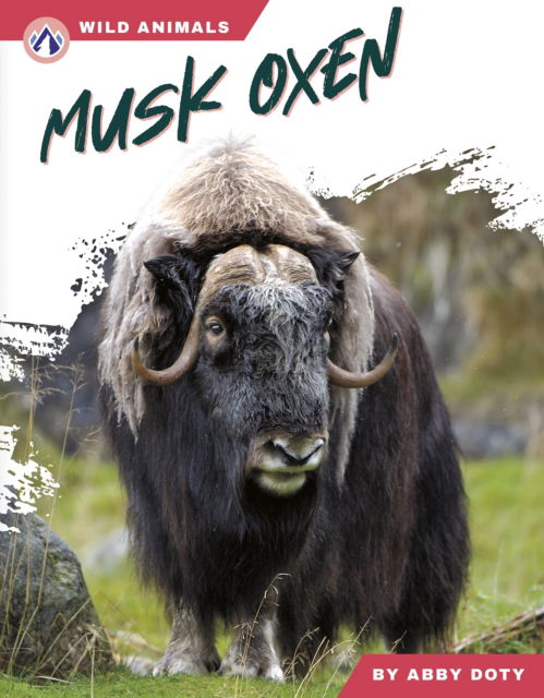 Cover for Abby Doty · Musk Oxen - Wild Animals Set 2 (Hardcover Book) (2025)