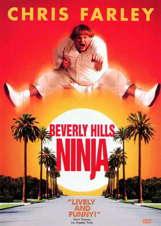 Cover for Beverly Hills Ninja (DVD) [Widescreen edition] (2001)