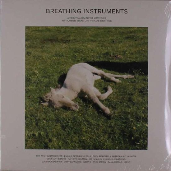 Cover for Breathing Instruments / Various · Breathing Instruments (LP) (2020)