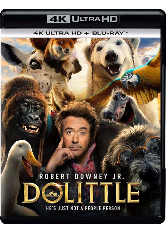Dolittle - Stephen Gaghan - Películas - Universal Pictures - 5053083209506 - 15 de junio de 2020
