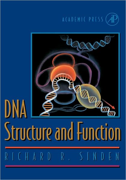 Cover for Sinden, Richard R. (Albert B. Alkek Institute of Biosciences and Technology, Texas A &amp; M University, Houston, U.S.A.) · DNA Structure and Function (Hardcover Book) (1994)