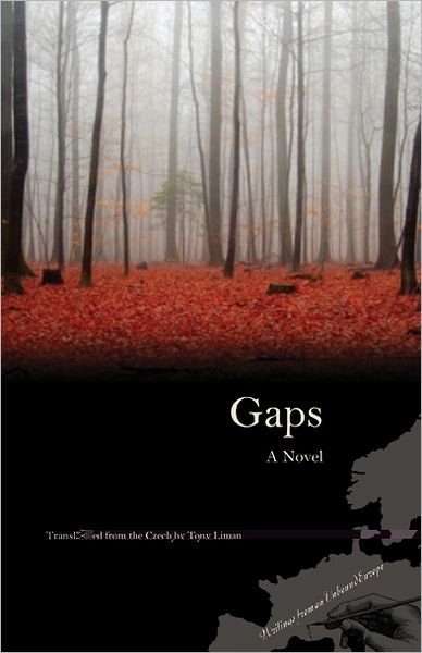 Cover for Bohumil Hrabal · Gaps: A Novel (Taschenbuch) (2011)