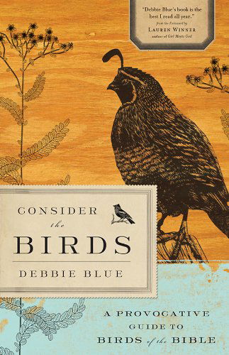 Cover for Debbie Blue · Consider the Birds (Paperback Book) (2013)