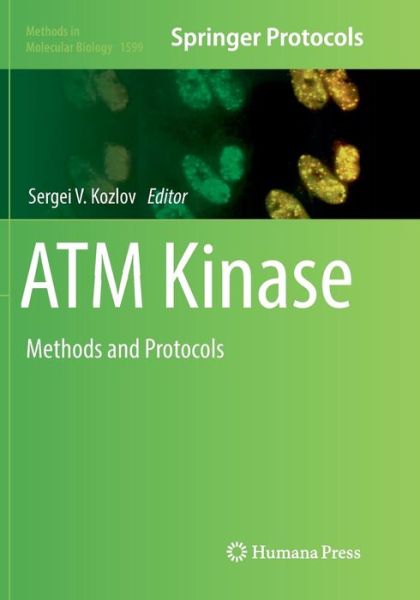 Cover for ATM Kinase: Methods and Protocols - Methods in Molecular Biology (Paperback Book) [Softcover reprint of the original 1st ed. 2017 edition] (2018)