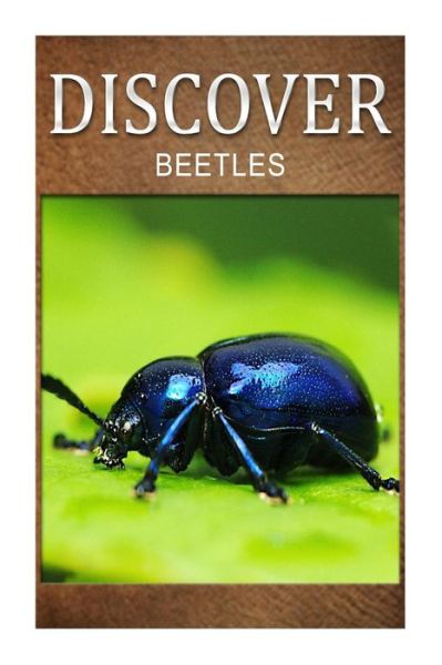 Cover for Discover Press · Beetles - Discover: Early Reader's Wildlife Photography Book (Pocketbok) (2014)