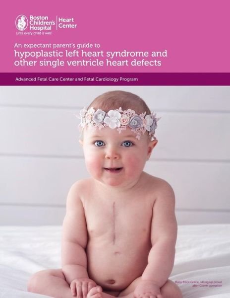Cover for Terra Lafranchi Np-C · An expectant parent's guide to hypoplastic left heart syndrome and other single ventricle heart defects (Taschenbuch) (2018)