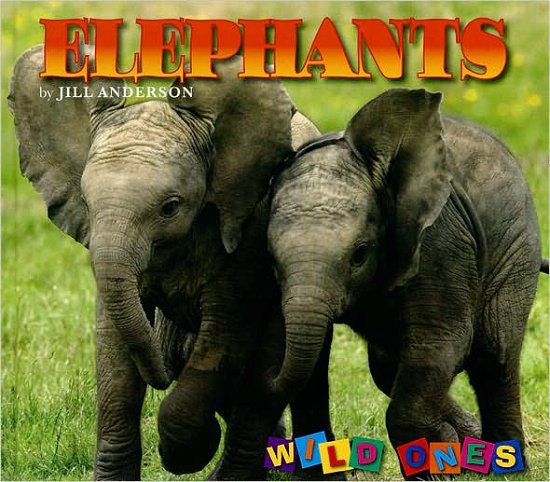 Elephants - Wild Ones - Jill Anderson - Bøker - Northword Press,U.S. - 9781559719506 - 1. oktober 2006