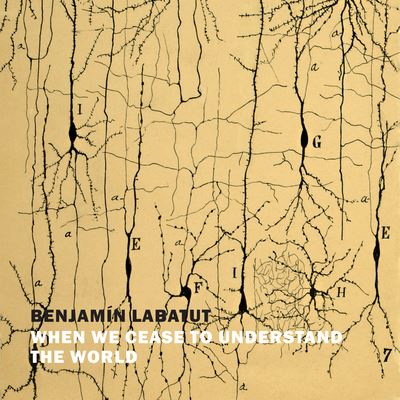 Cover for Benjamin Labatut · When We Cease to Understand the World (CD) (2021)