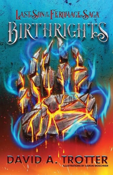 Cover for Aaron Moschner · Birthrights (Paperback Book) (2021)