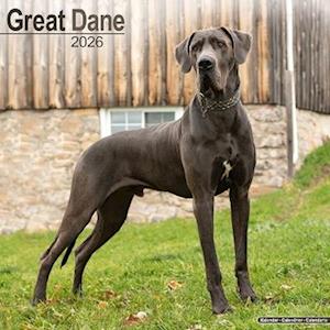 Cover for Great Dane (Euro) Calendar 2026  Square Dog Breed Wall Calendar - 16 Month (Calendar) (2025)