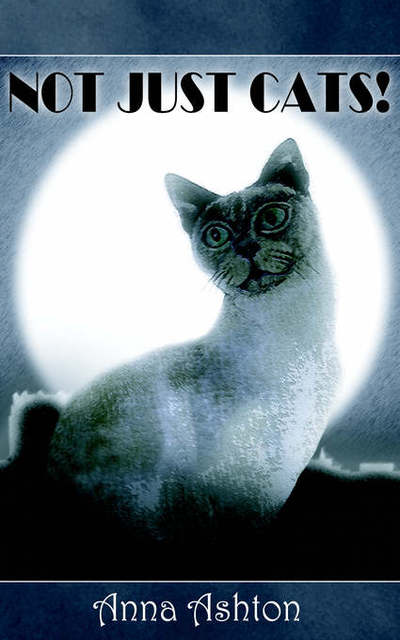 Not Just Cats! - Anna Ashton - Books - New Generation Publishing - 9781844011506 - April 14, 2005