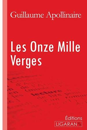 Cover for Guillaume Apollinaire · Les Onze Mille Verges (Paperback Book) (2015)