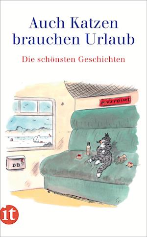 Cover for Gesine Dammel · Auch Katzen brauchen Urlaub (Book) (2024)