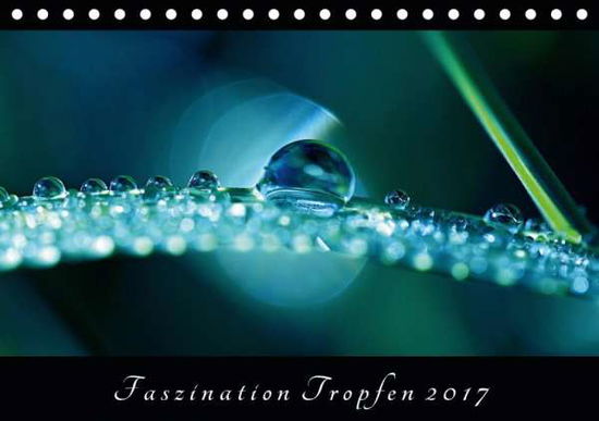 Cover for Brockmann · Faszination Tropfen 2020 (Tis (Book)